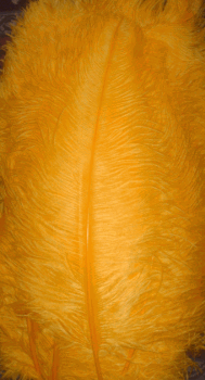 Gold 20-25in Ostrich Feather Femina - 1/2 Dozen