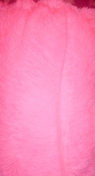 Hot Pink Large Ostrich Femina Feathers - 1/4 lb