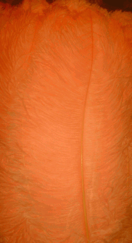 Orange Ostrich Femina Feathers - 1/4 lb