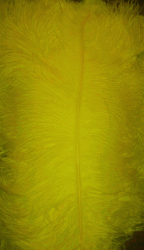 Yellow 20-25in Ostrich Feather Femina - 1/2 Dozen