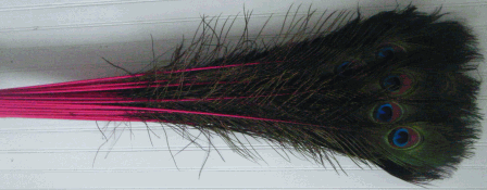 Bulk Fuchsia Peacock Eye Feathers -30-35 Inch Dyed Stems 100pc