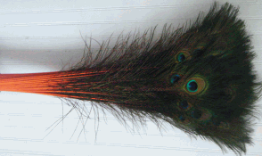 Bulk Orange Peacock Eye Feathers - 30-35 Inch Dyed Stems 100pc