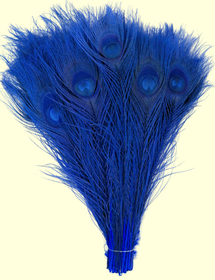 Blue Peacock Eye Feathers - 8-15 Inch Bleached & Dyed 25pc