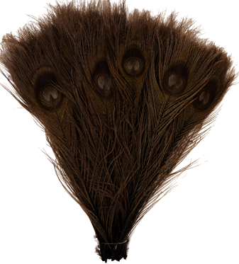 Bulk Brown Peacock Feathers - 8-15 Inch Bleached & Dyed 100pc