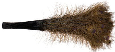 Brown Peacock Eye Feathers - 30-35 Inch Bleached & Dyed 25pc