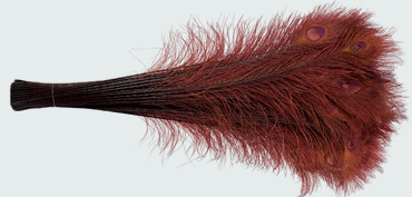 Burgundy Peacock Eye Feathers - 30-35 Inch Bleached & Dyed 25pc