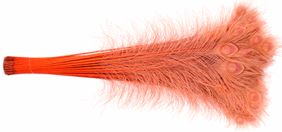 Coral Peacock Eye Feathers - 30-35 Inch Bleached & Dyed 25pc
