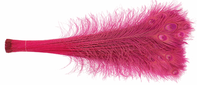 Fuchsia Peacock Eye Feathers - 30-35 Inch Bleached & Dyed 25pc