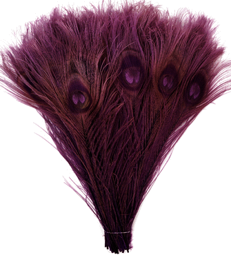 Peacock Feathers - Bleached & Dyed - Purple 8-15 100pc