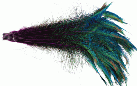 Peacock Sword Feathers - Stems Dyed Purple - 20-25 100pc