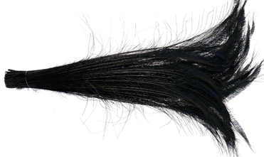 Bulk Black Peacock Sword Feathers - 20-25 Inch Bleached & Dyed 100pc