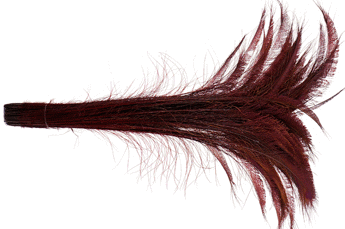 Bulk Burgundy Peacock Sword Feathers - 20-25 Inch Bleached & Dyed 100pc