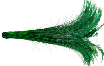 Bulk Green Peacock Sword Feathers - 30-35 Inch Bleached & Dyed 100pc