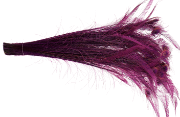 Purple Peacock Sword Feathers - 20-25 Inch Bleached & Dyed 25pc
