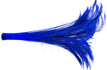 Bulk Blue Peacock Swords Feathers - 20-25 Inch Bleached & Dyed 100pc