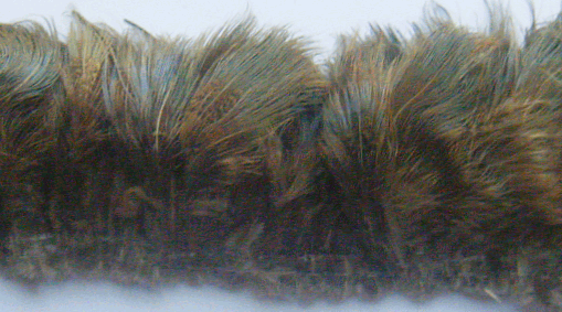 Blue Almond Strung Pheasant Feathers - 1/4 lb