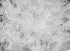 10/90 Bulk Goose Down Pillow Feathers - White - lb
