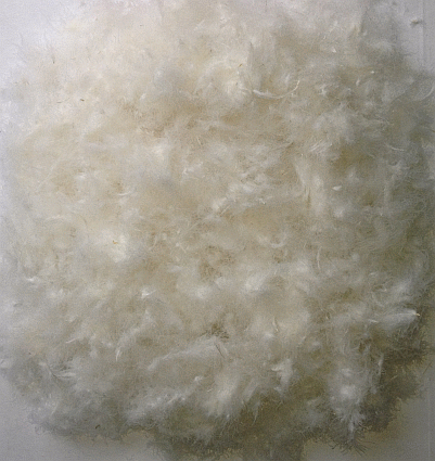 100% Goose Down Pillow Stuffing - White 1/4 lb