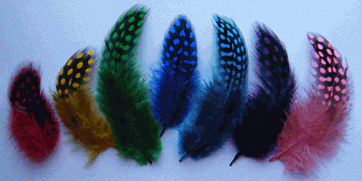 Asst Mix Rooster Guinea Craft Feathers - Mini Pkg
