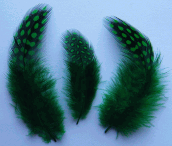 Green Rooster Guinea Feathers - 1/4 lb