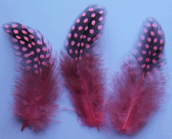Hot Pink Rooster Guinea Feathers - 1/4 lb