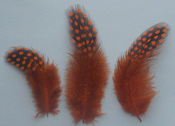 Orange Rooster Guinea Craft Feathers - Mini Pkg