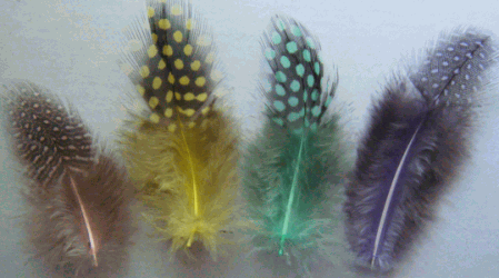 Pastel Mix Rooster Guinea Craft Feathers - Mini Pkg