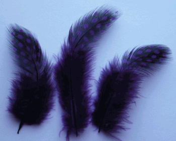 Purple Rooster Guinea Craft Feathers - Mini Pkg