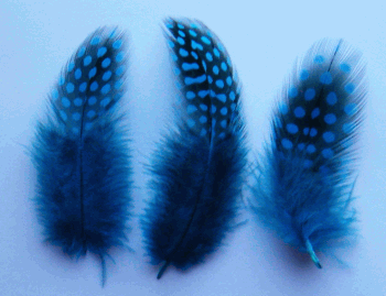 Turquoise Rooster Guinea Craft Feathers - Mini Pkg