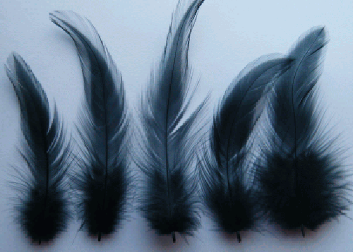 Bulk Black Rooster Hackle Feathers - 1/4 lb