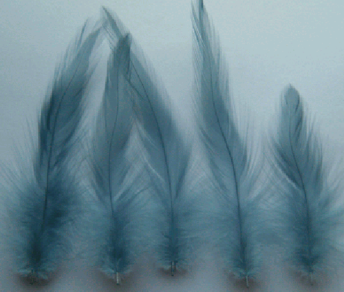 Blu Dun Rooster Hackle Craft Feathers - Mini Pkg