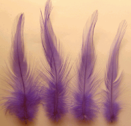 Bulk Dark Lilac Rooster Hackle Feathers - 1/4 lb