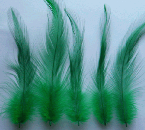 Green Rooster Hackle Craft Feathers - Mini Pkg