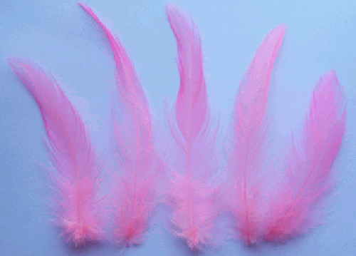 Hot Pink Rooster Hackle Craft Feathers - 1/4 lb