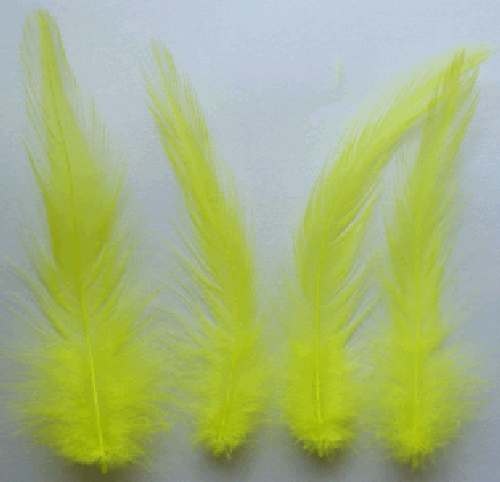 Bulk Neon Yellow Rooster Hackle Feathers - 1/4 lb