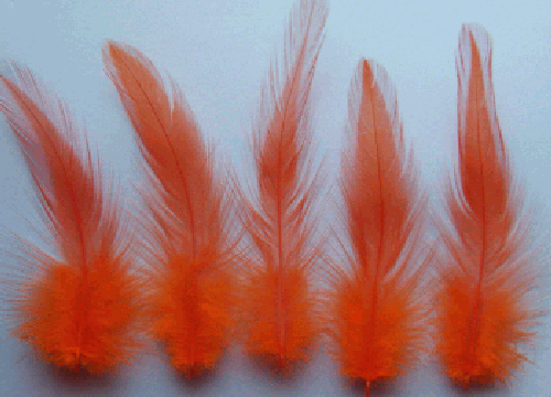 Orange Rooster Hackle Craft Feathers - 1/4 lb