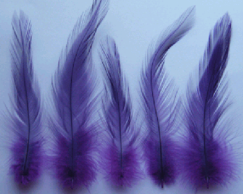 Bulk Purple Rooster Hackle Feathers - 1/4 lb