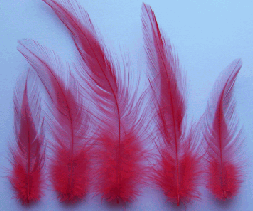 Bulk Red Rooster Hackle Feathers - 1/4 lb
