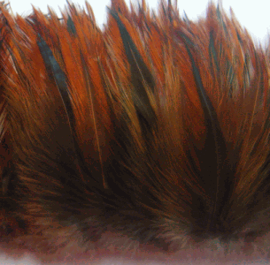 Strung Rooster Furnace Neck Hackle Feathers - 1/4 lb