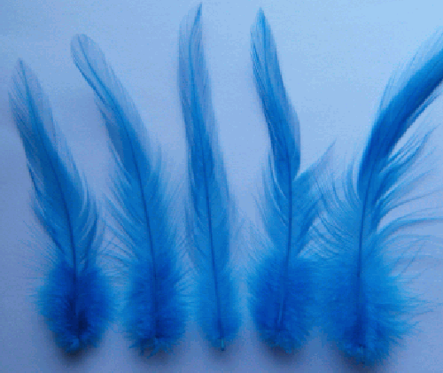 Turquoise Rooster Hackle Feathers - Bulk lb