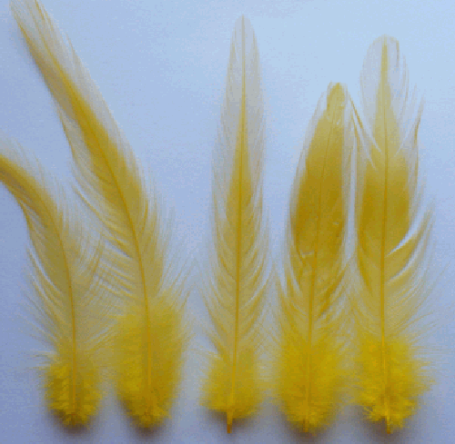 Bulk Yellow Rooster Hackle Feathers - 1/4 lb