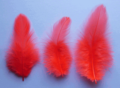 Bulk Hot Orange Rooster Plumage Feathers - 1/4 lb