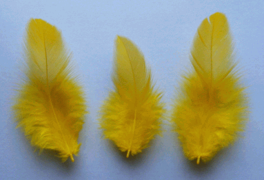Yellow Rooster Plumage Craft Feathers - Mini Pkg