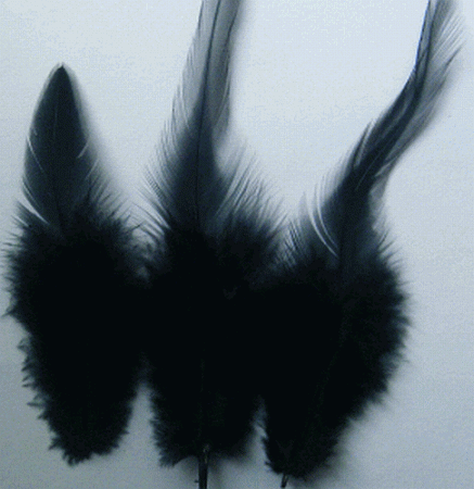 Black Rooster Saddle Craft Feathers - Mini Pkg