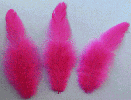 Fuchsia Rooster Saddle Craft Feathers - Mini Pkg