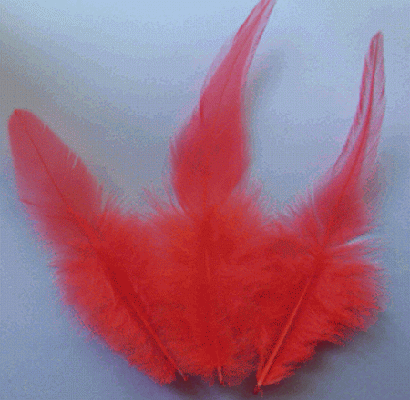 Hot Orange Rooster Saddle Craft Feathers - Mini Pkg