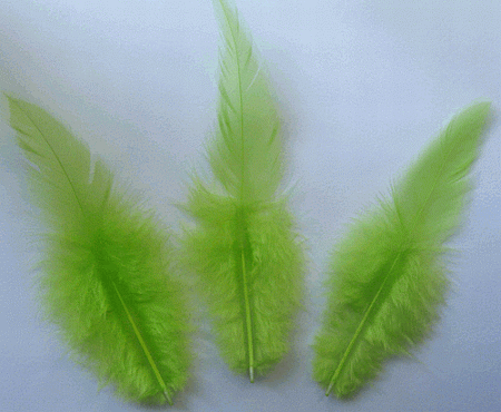 Lime Rooster Saddle Craft Feathers - Mini Pkg