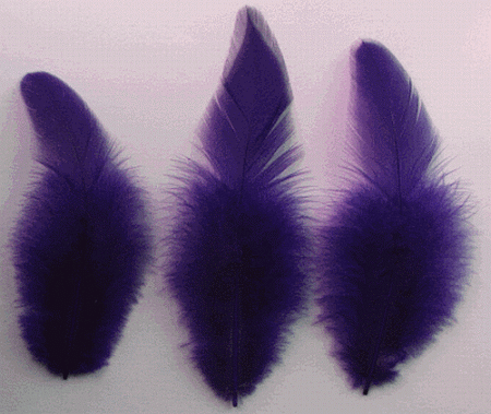 Regal Rooster Saddle Feathers - 1/4 lb