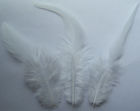 White Rooster Saddle Craft Feathers - Mini Pkg