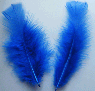 Blue Turkey Flat Feathers - 1/4 lb